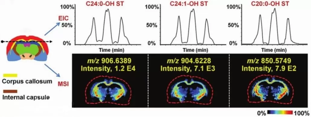 Spatial metabolomics metabolite assays
